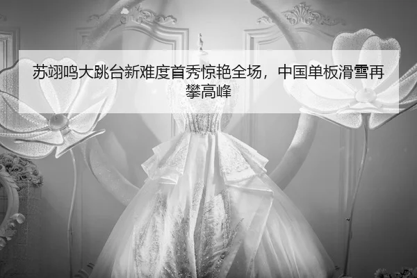 su-yi-ming-da-tiao-tai-xin-nan-du-shou-xiu-jing-yan-quan-chang-zhong-guo-dan-ban-hua-xue-zai-pan-gao-feng-2-604.jpg
